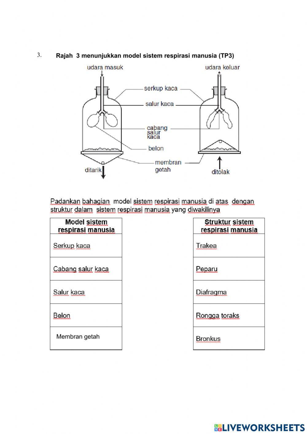 Ulangkaji Tingkatan 3 ( bab 1-6)