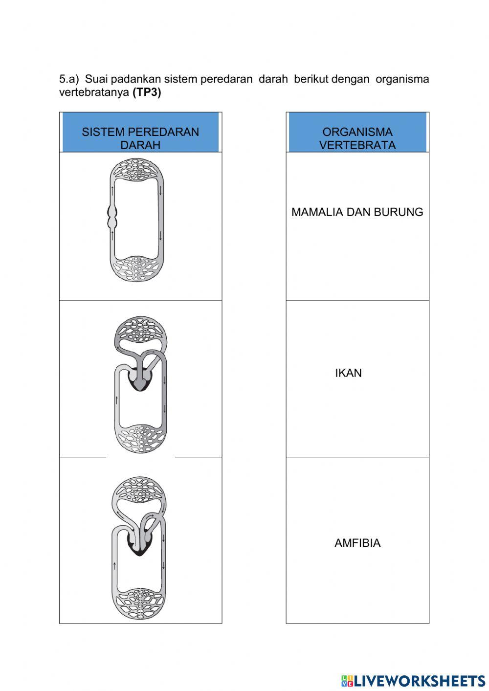Ulangkaji Tingkatan 3 ( bab 1-6)