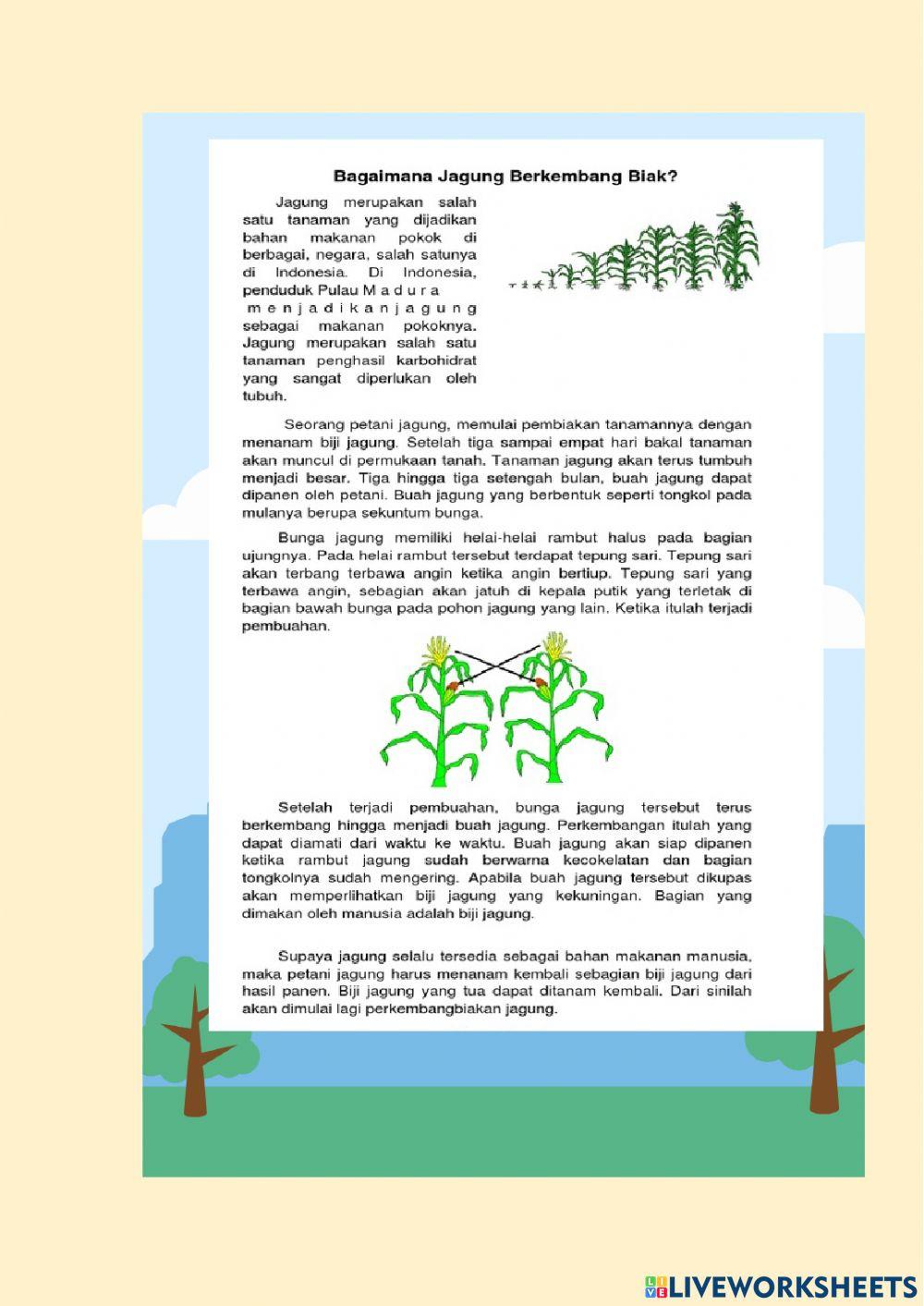Bahasa Indonesia Tema 1 Subtema 1 Sd 6
