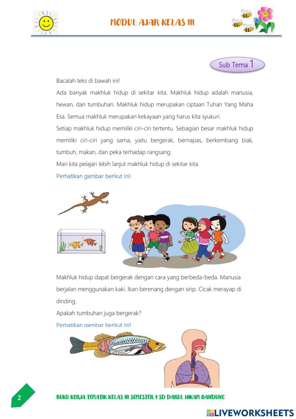 Ciri-Ciri Makhluk Hidup-Tema 1