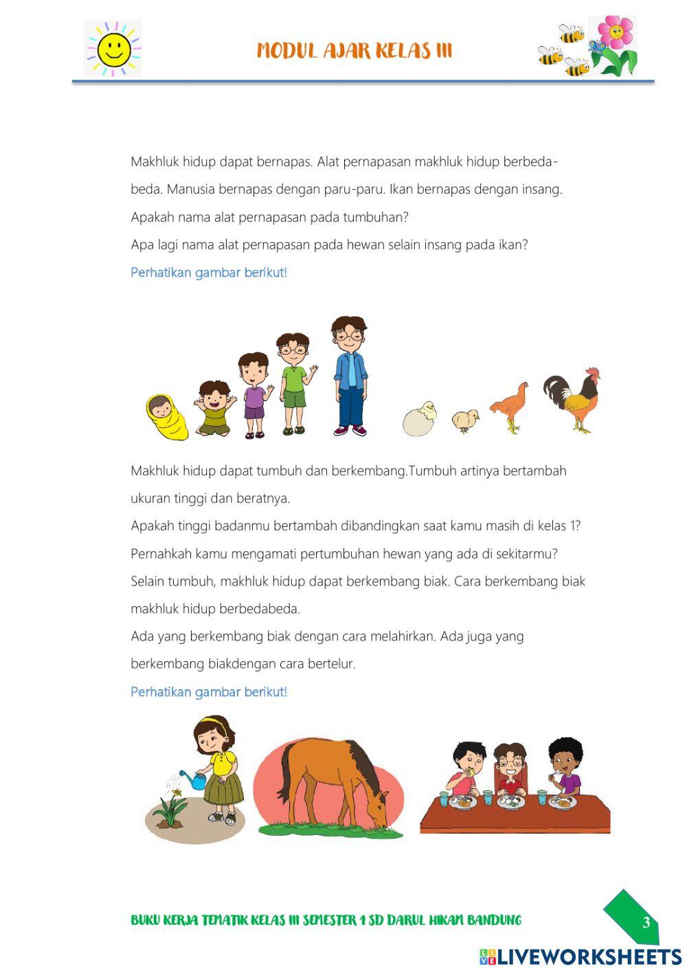 Ciri-Ciri Makhluk Hidup-Tema 1