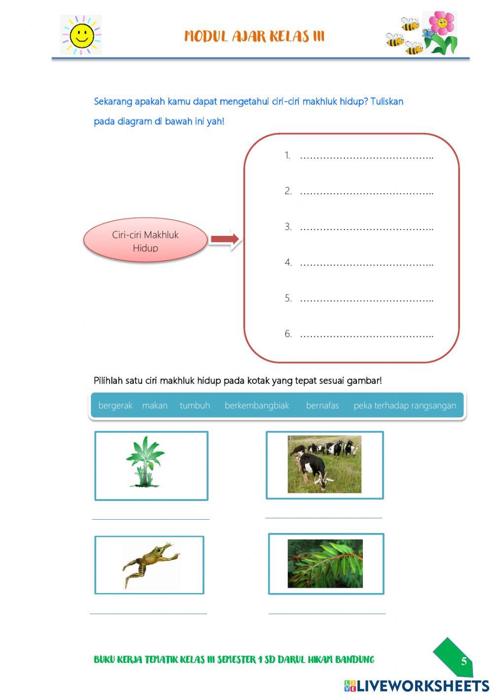 Ciri-Ciri Makhluk Hidup-Tema 1