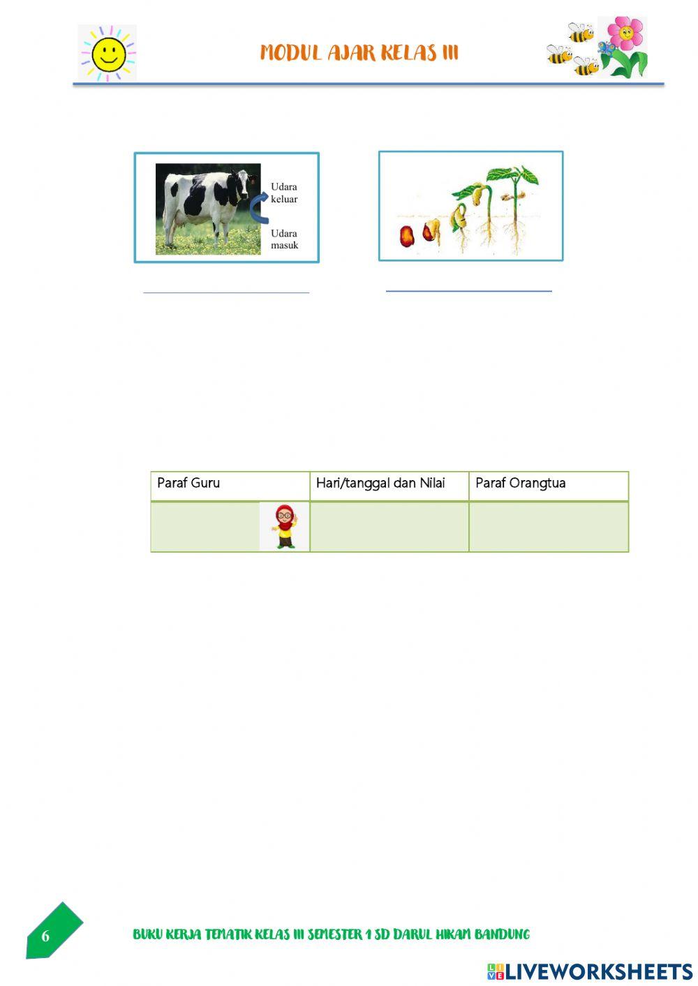 Ciri-Ciri Makhluk Hidup-Tema 1