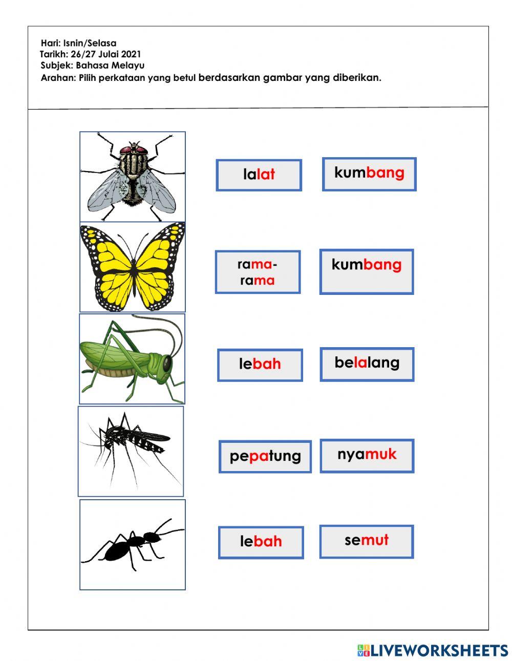 Tugasan pkp 3.0 bm (5tahun)