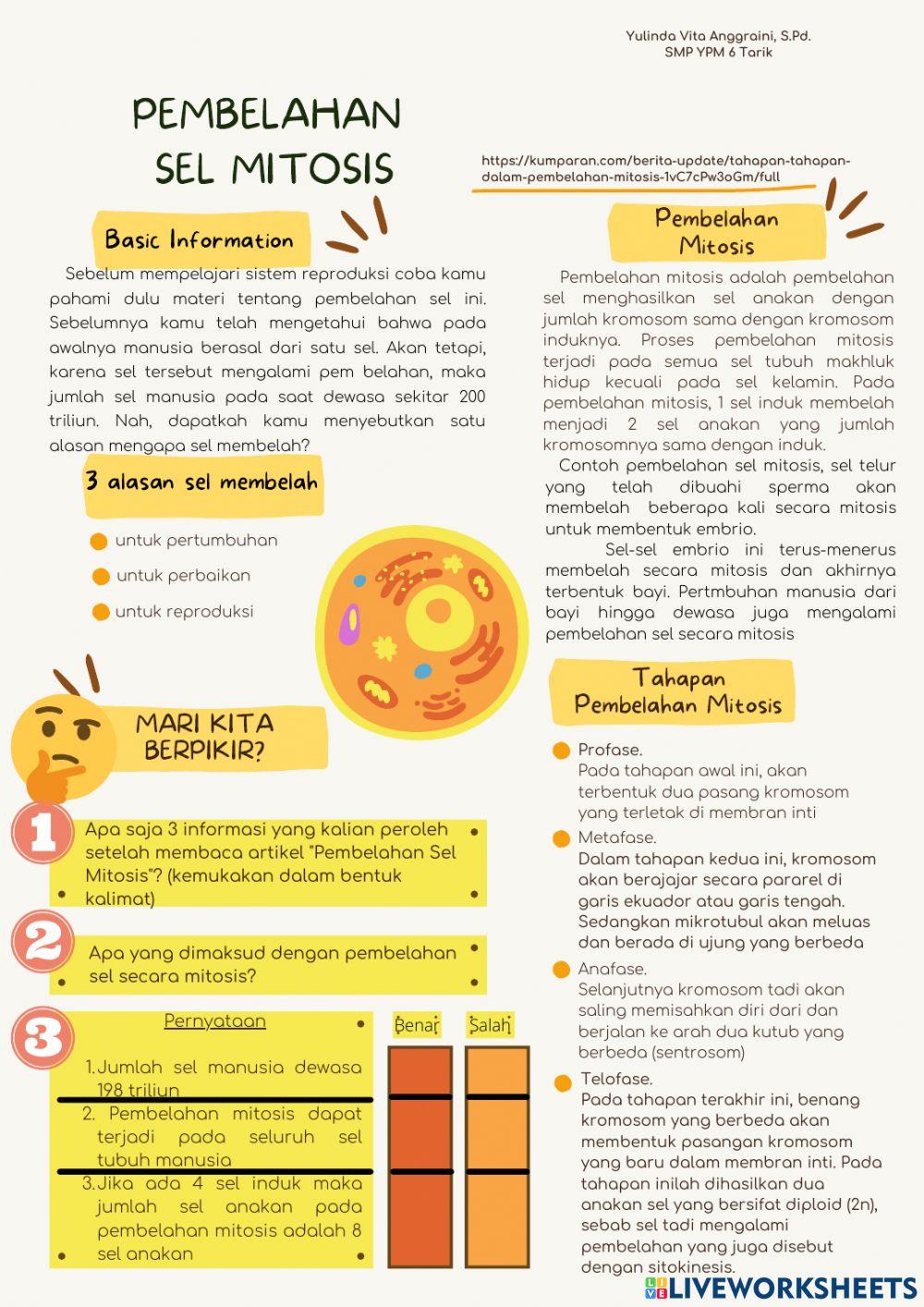 Pembelahan Sel Mitosis