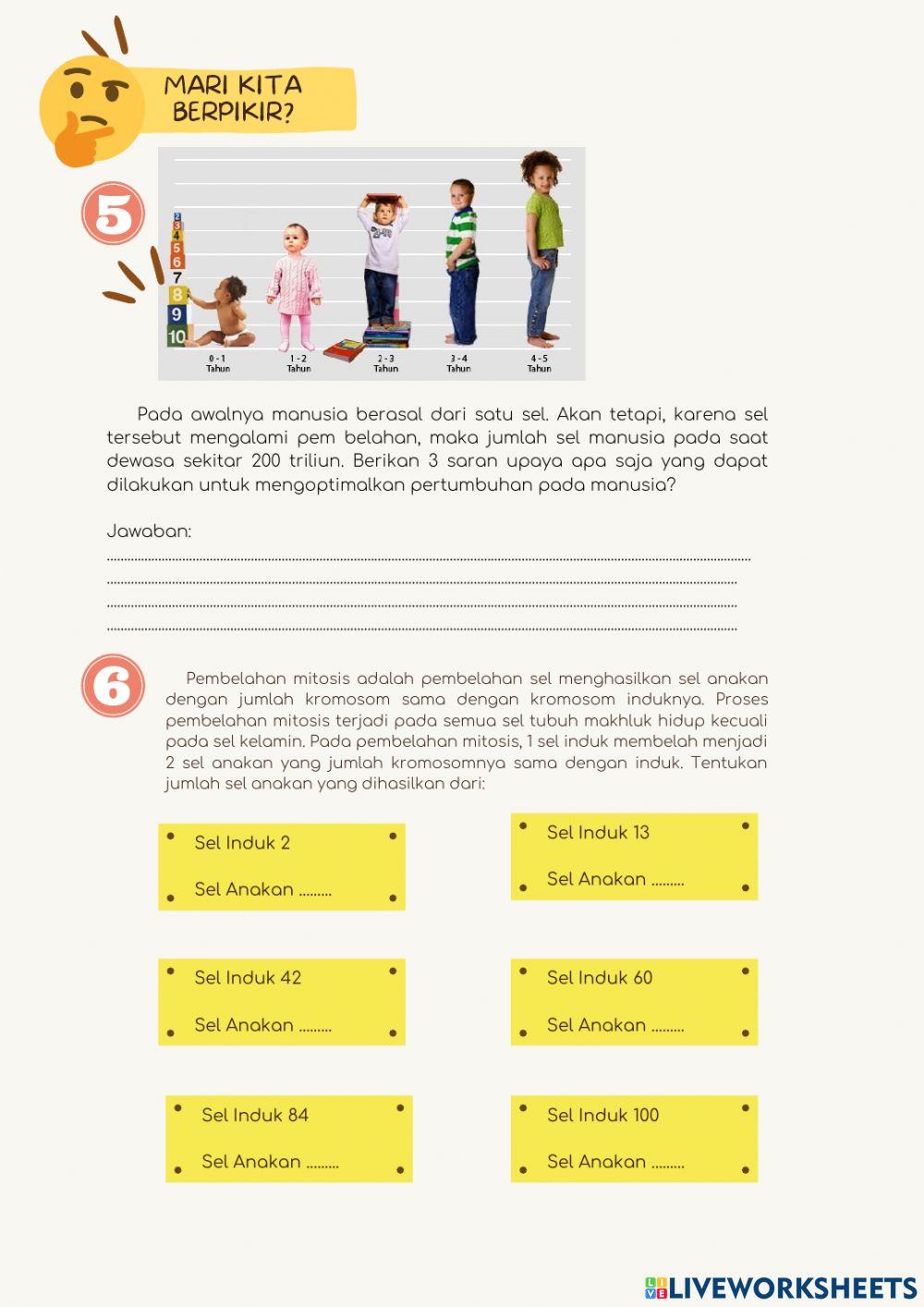 Pembelahan Sel Mitosis