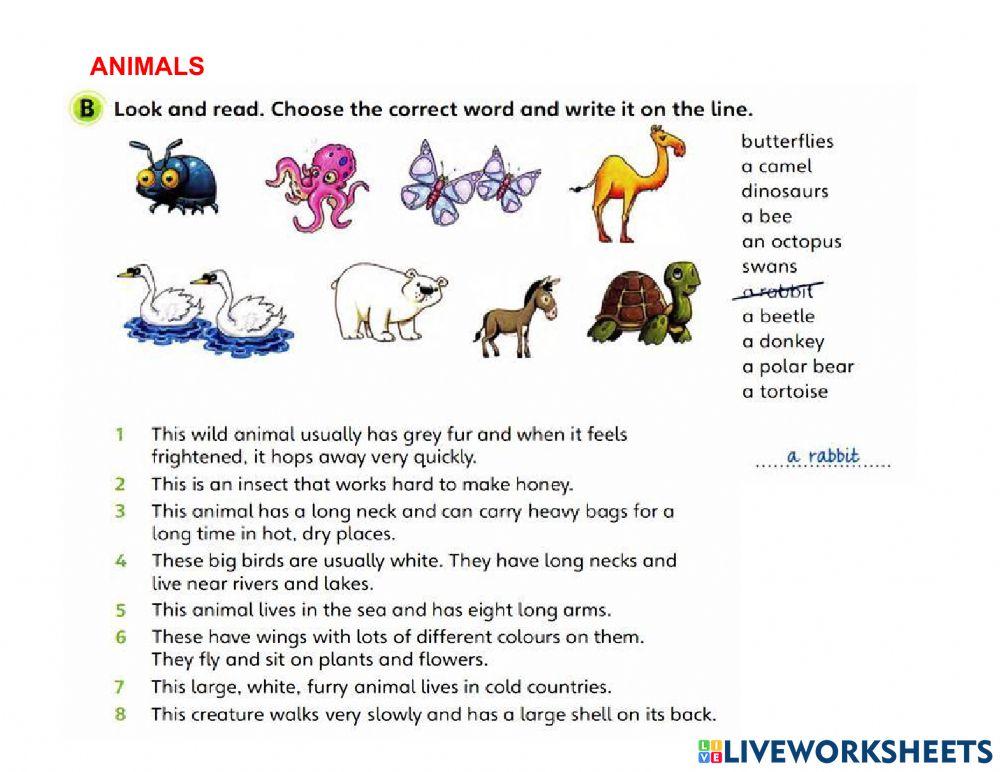 F - Practice - Part 1