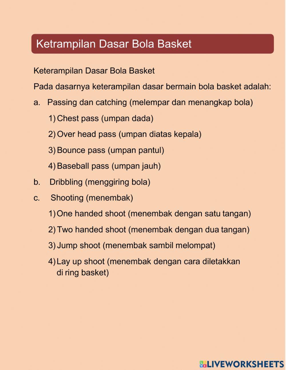 Bola Basket
