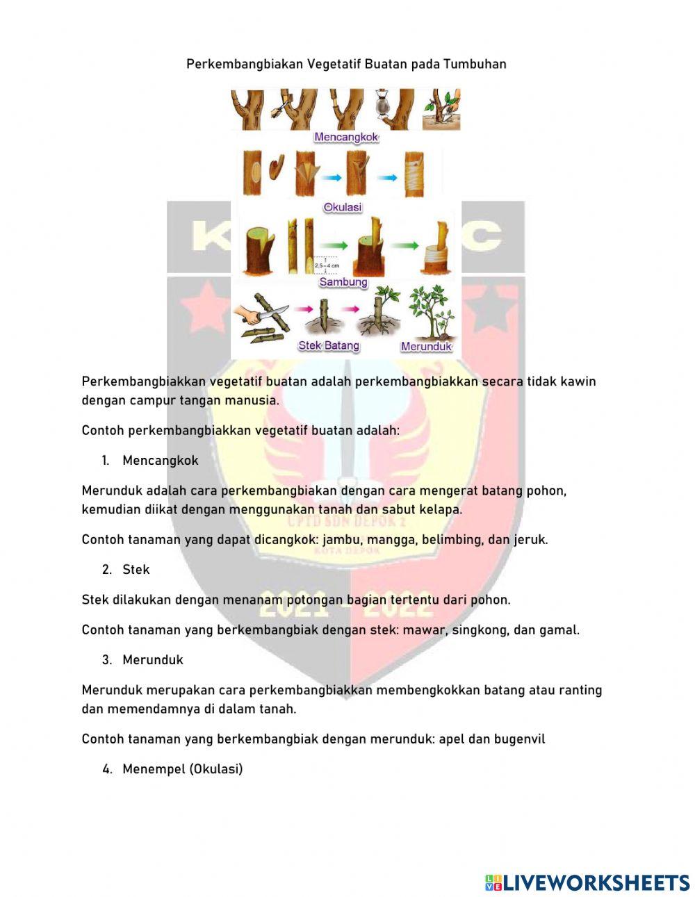 LLKPD IPA TEMA 1 KELAS 6