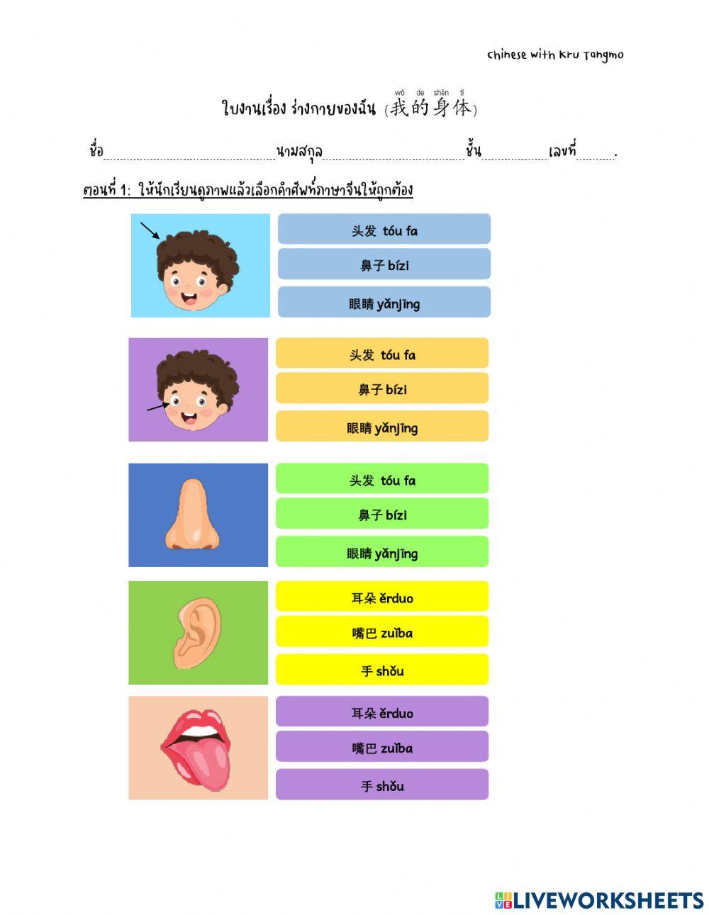 ใบงานเรื่องร่างกาย我的身体