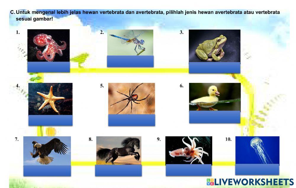 Alat Gerak Hewan dan Manusia
