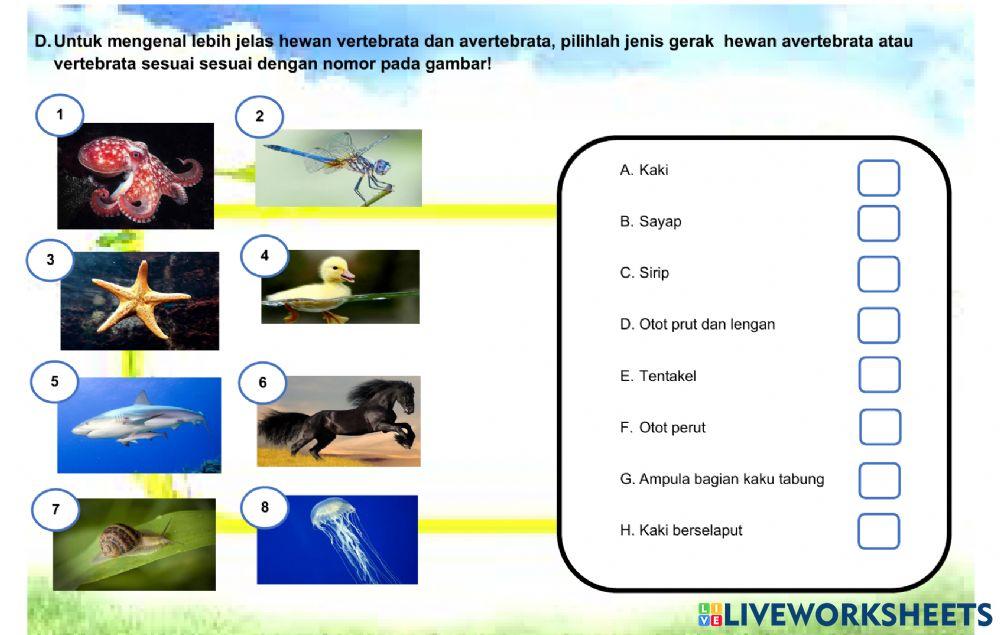 Alat Gerak Hewan dan Manusia