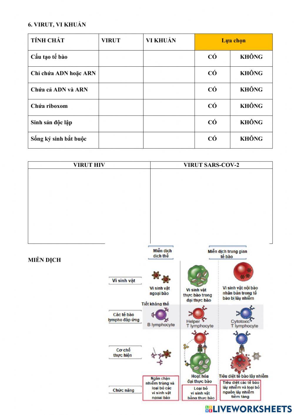 Ôn tập vi sinh vật