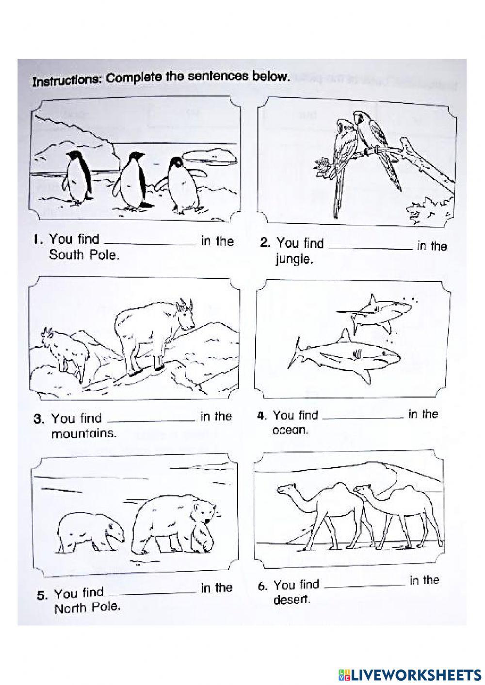 PBD YEAR 2 TOPIC (1-3) : READING - WRITING