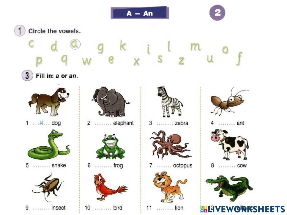 New round up starter - unit 2