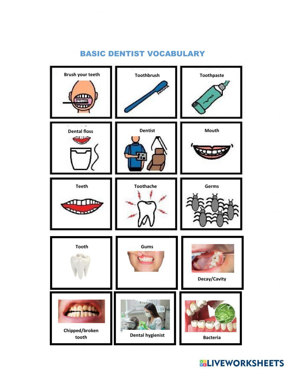 basic-dentist-vocabulary-3227378-annececi-live