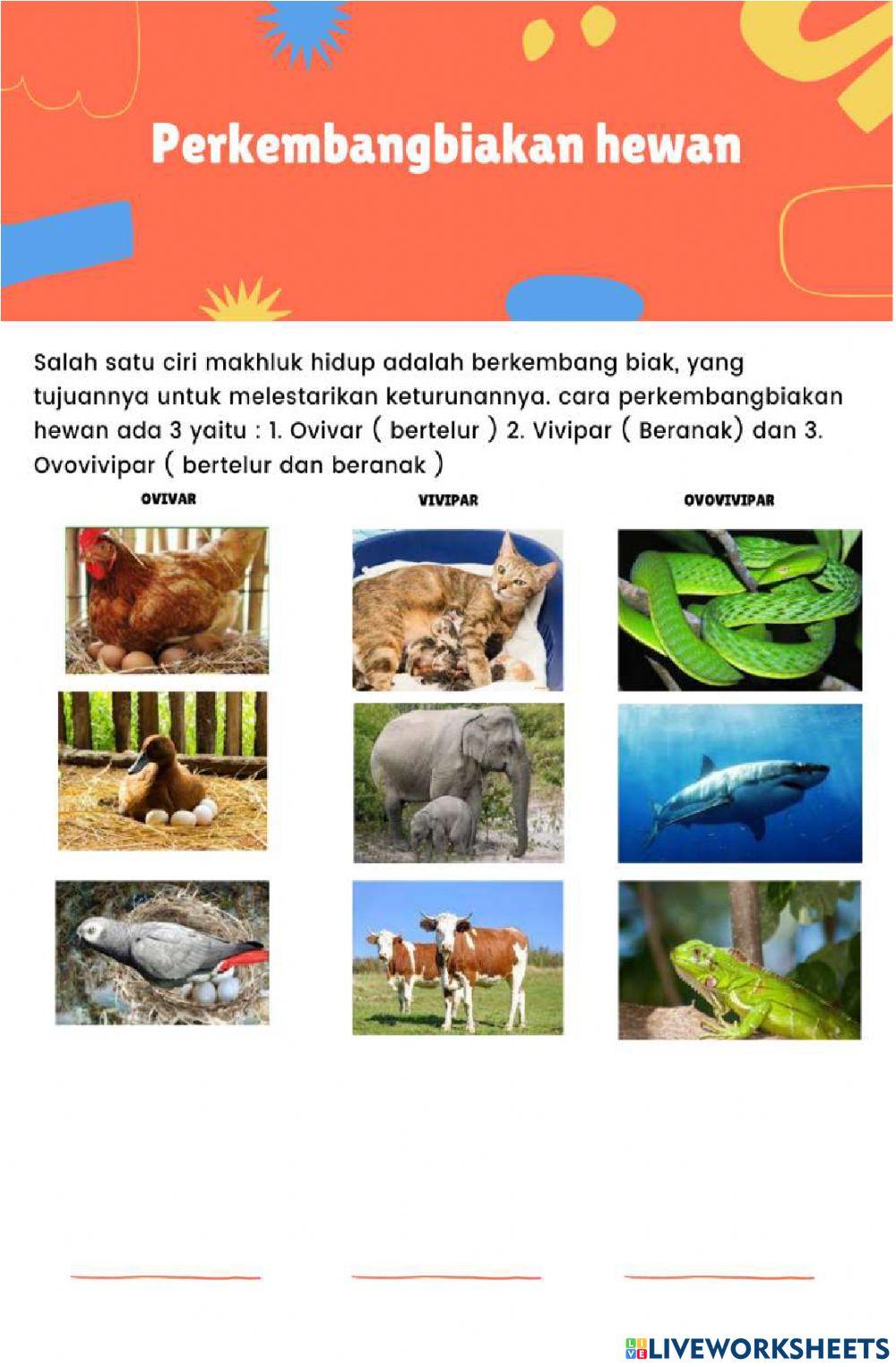 Perkembangbiakan hewan