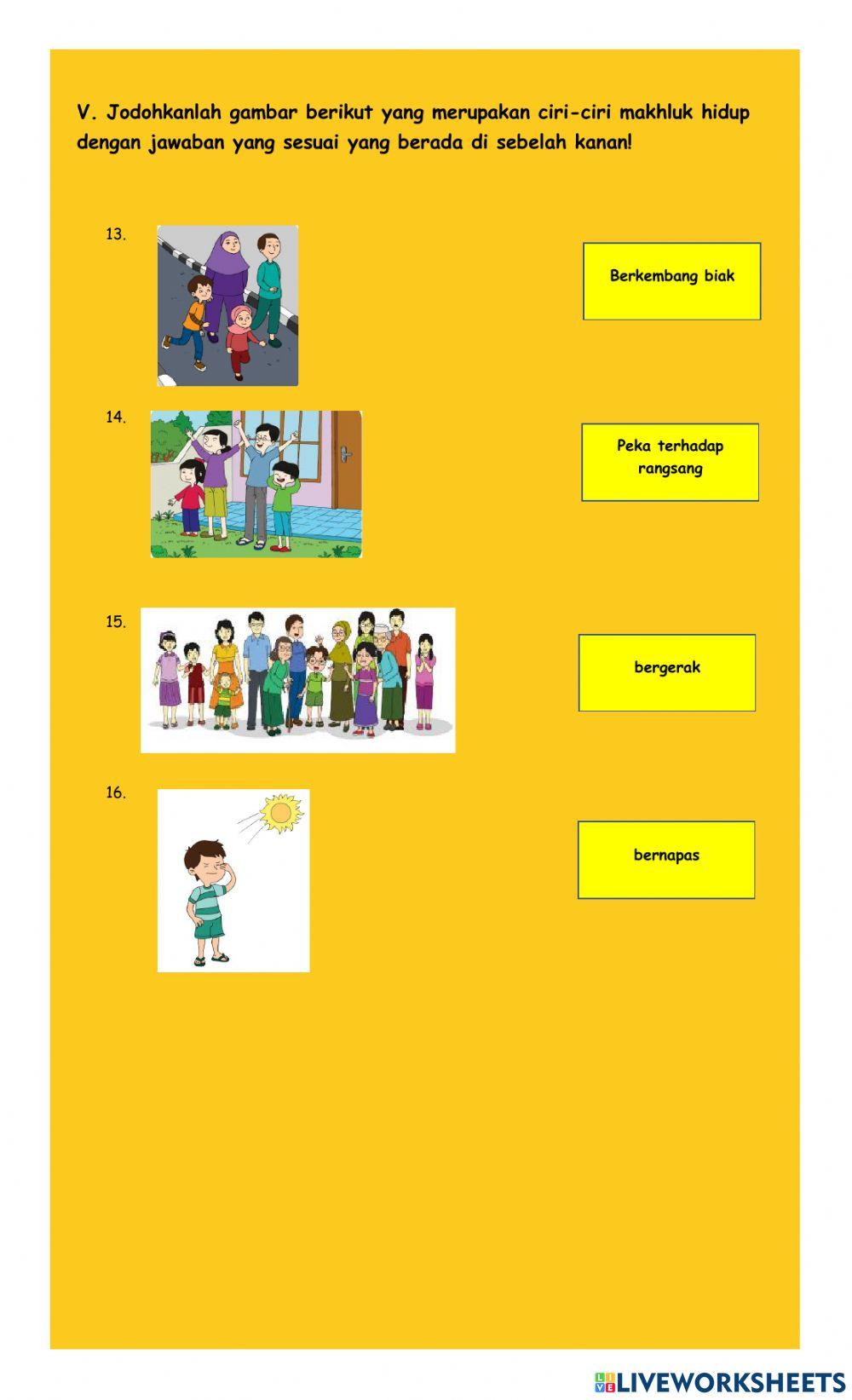 Lkpd tema 1 subtema1 pembelajaran 6