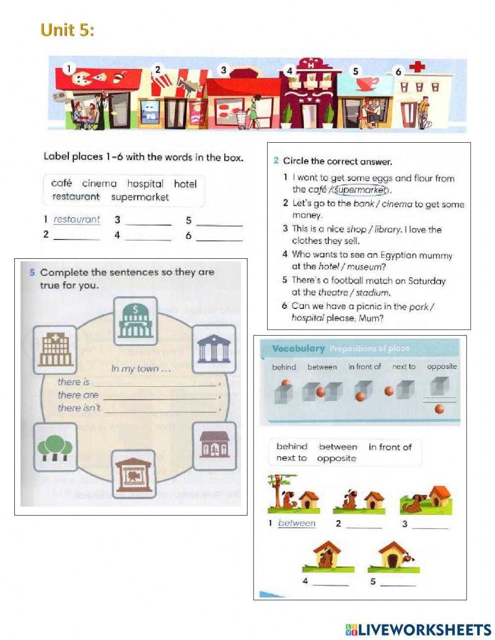Unit 5 past simple verb to be