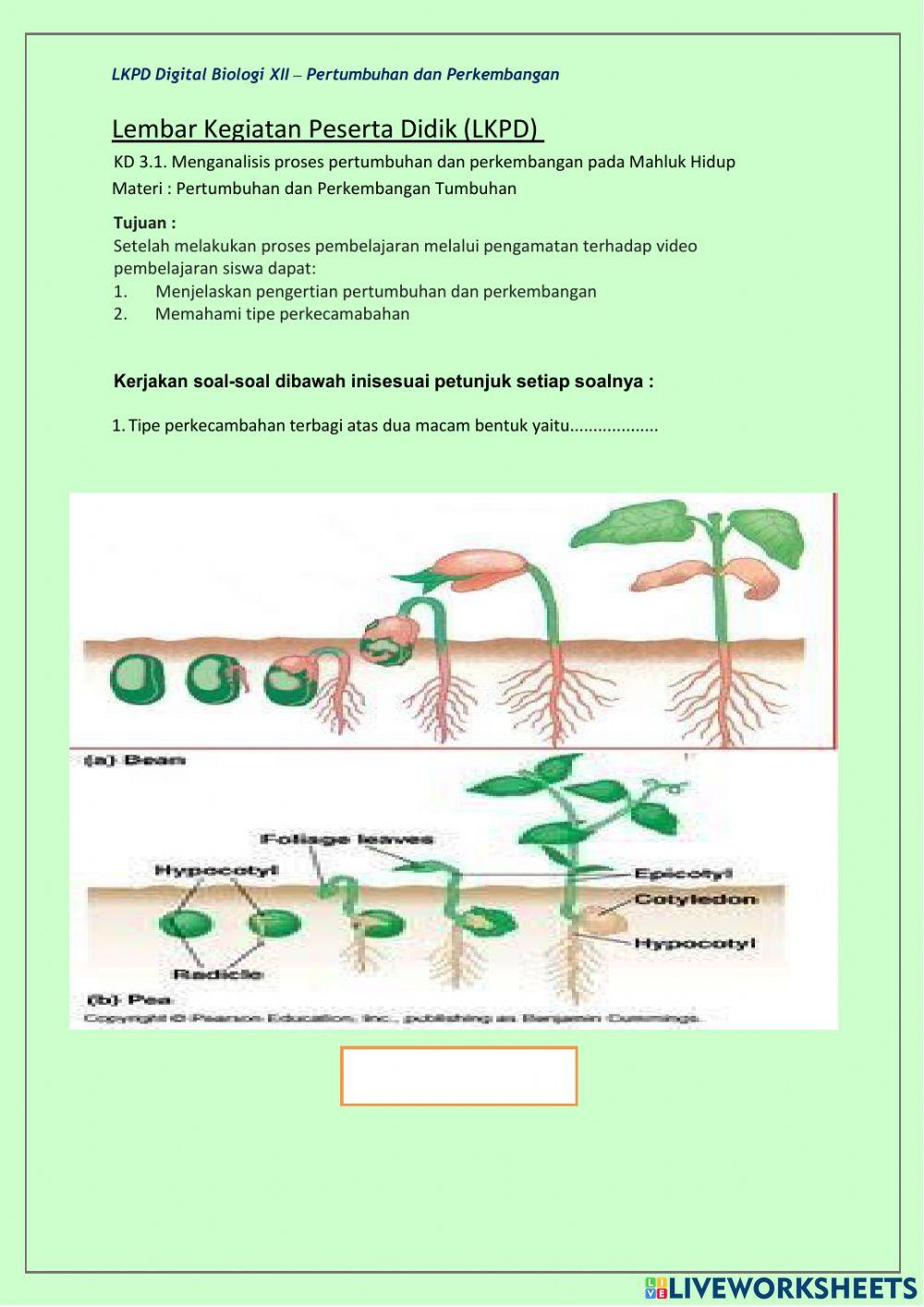 Latihan soal pertumbuhan dan perkembangan makhluk hidup