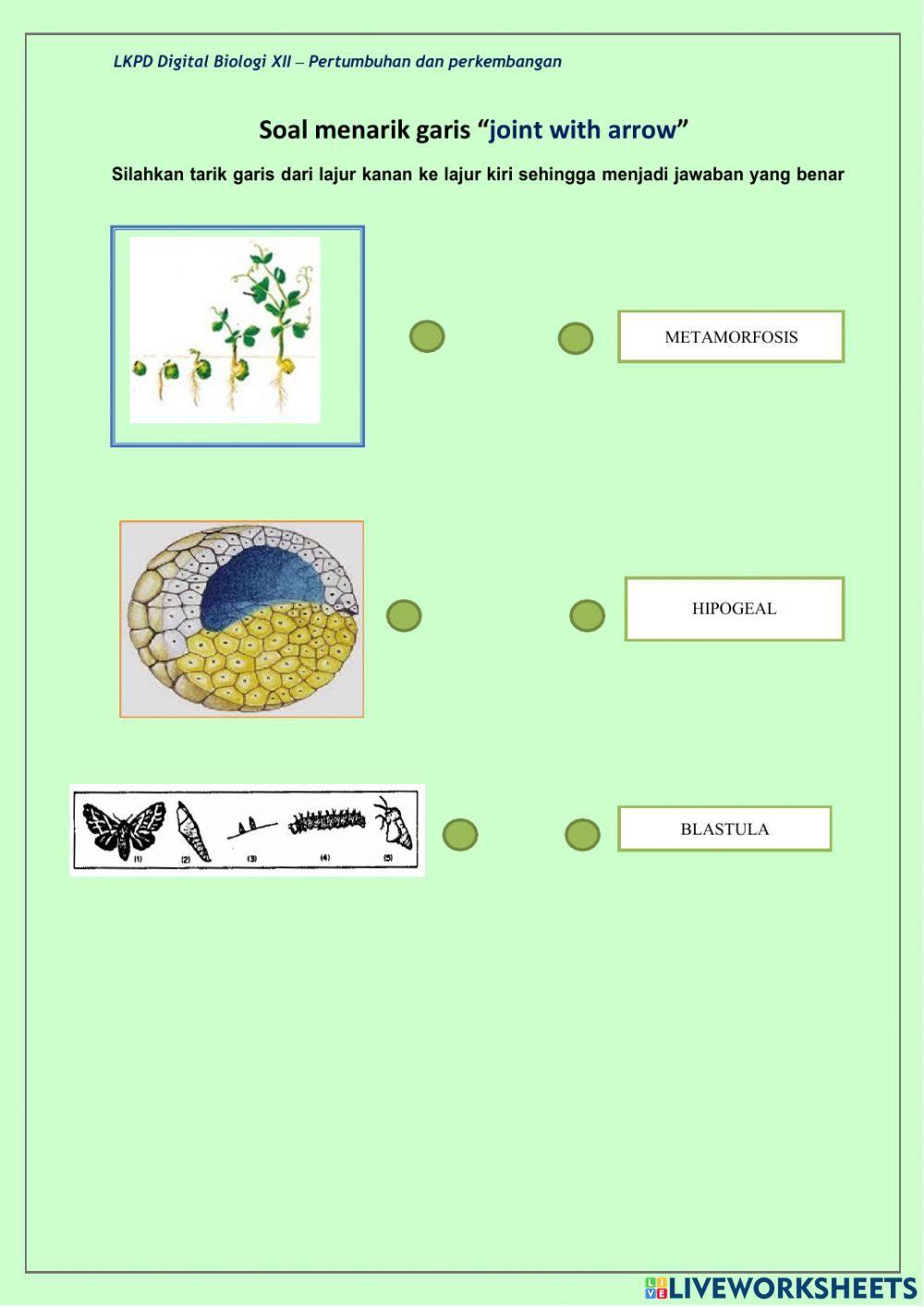 Latihan soal pertumbuhan dan perkembangan makhluk hidup
