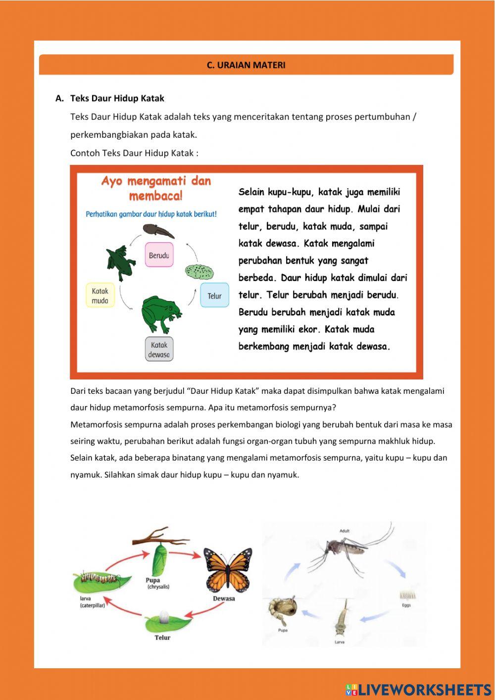 Materi Ajar Tema 1 Subtema 3 Pembelajaran 5