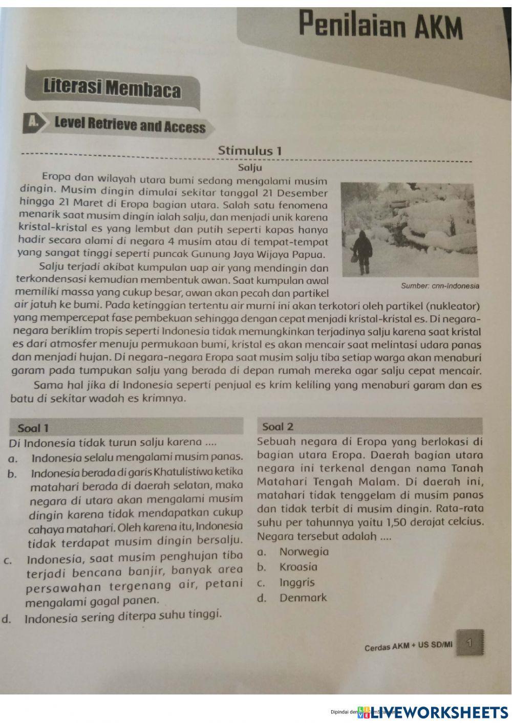 Akm literasi simulasi 1