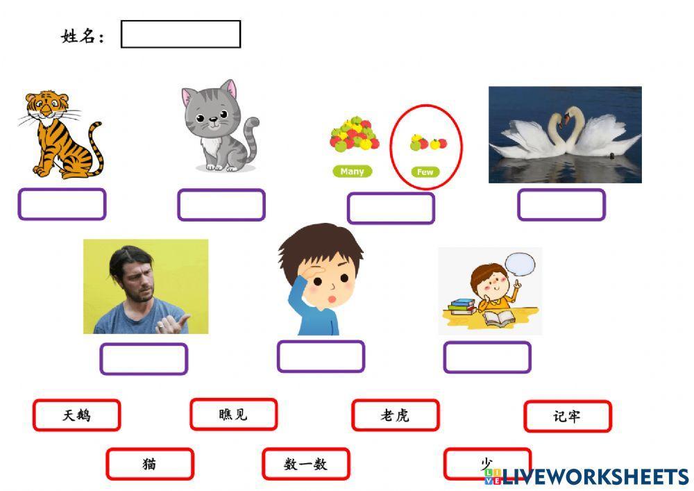《大小多少》评估