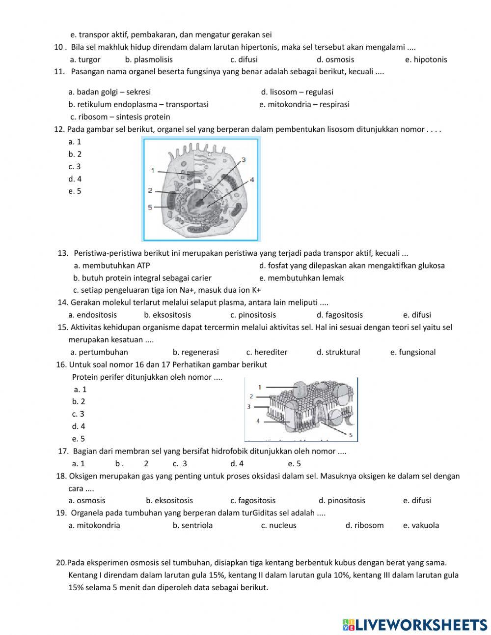 Struktur dan fungsi sel