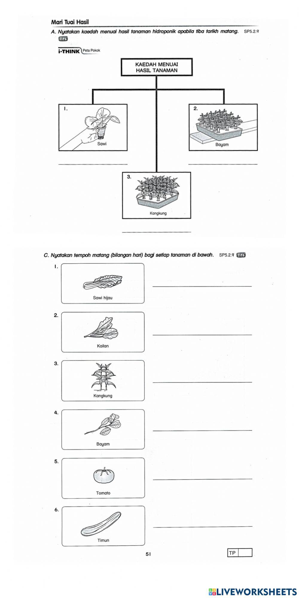 Rbt tahun 6 - Menuai Hasil Tanaman
