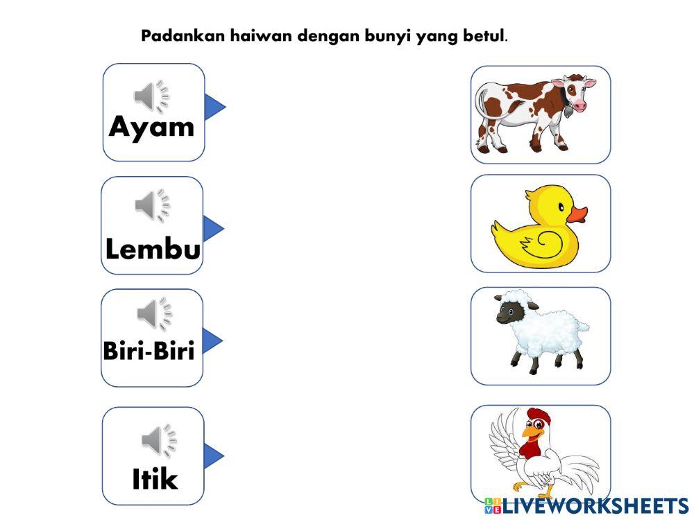 Match Sound worksheet Live Worksheets