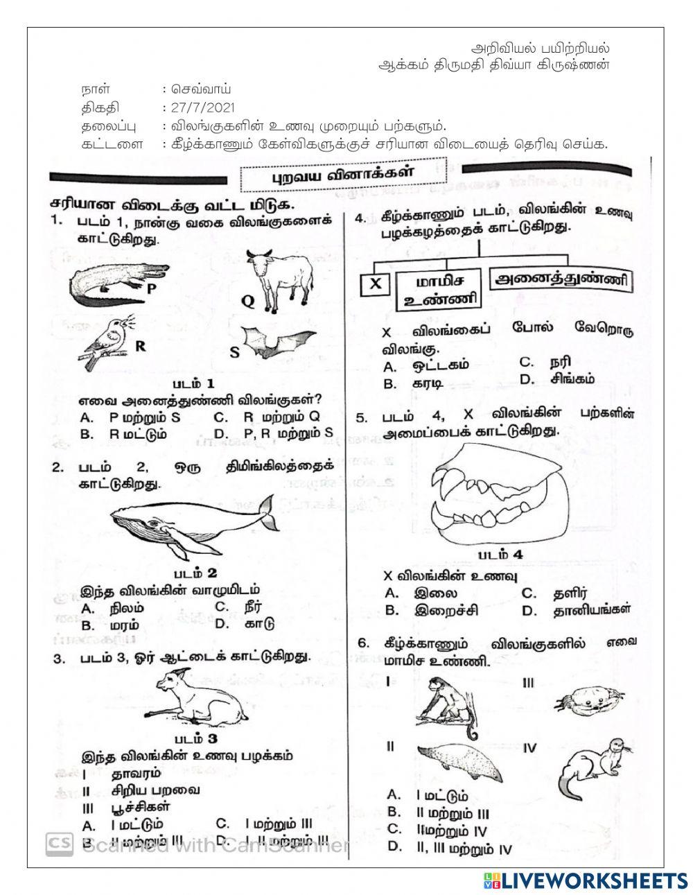 அறிவியல் ஆண்டு 3