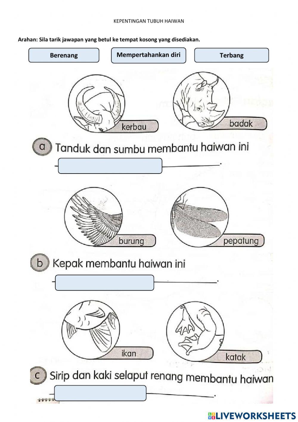 Kepentingan Bahagian Haiwan
