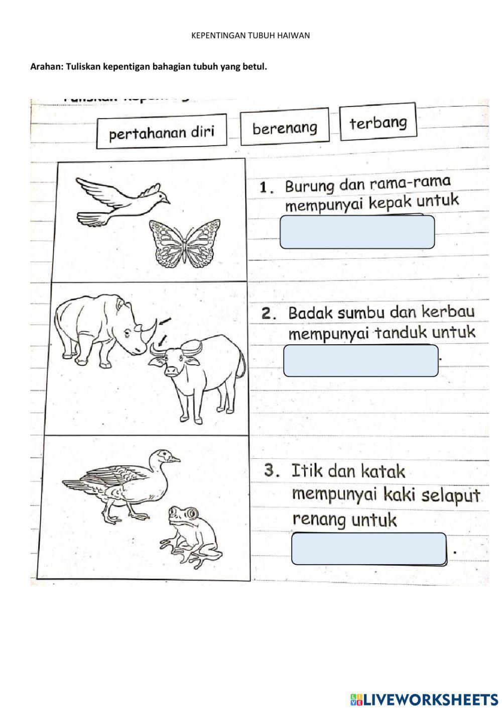 Kepentingan Bahagian Haiwan