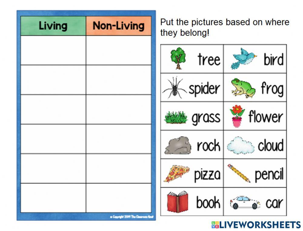 Living and Non Living Things