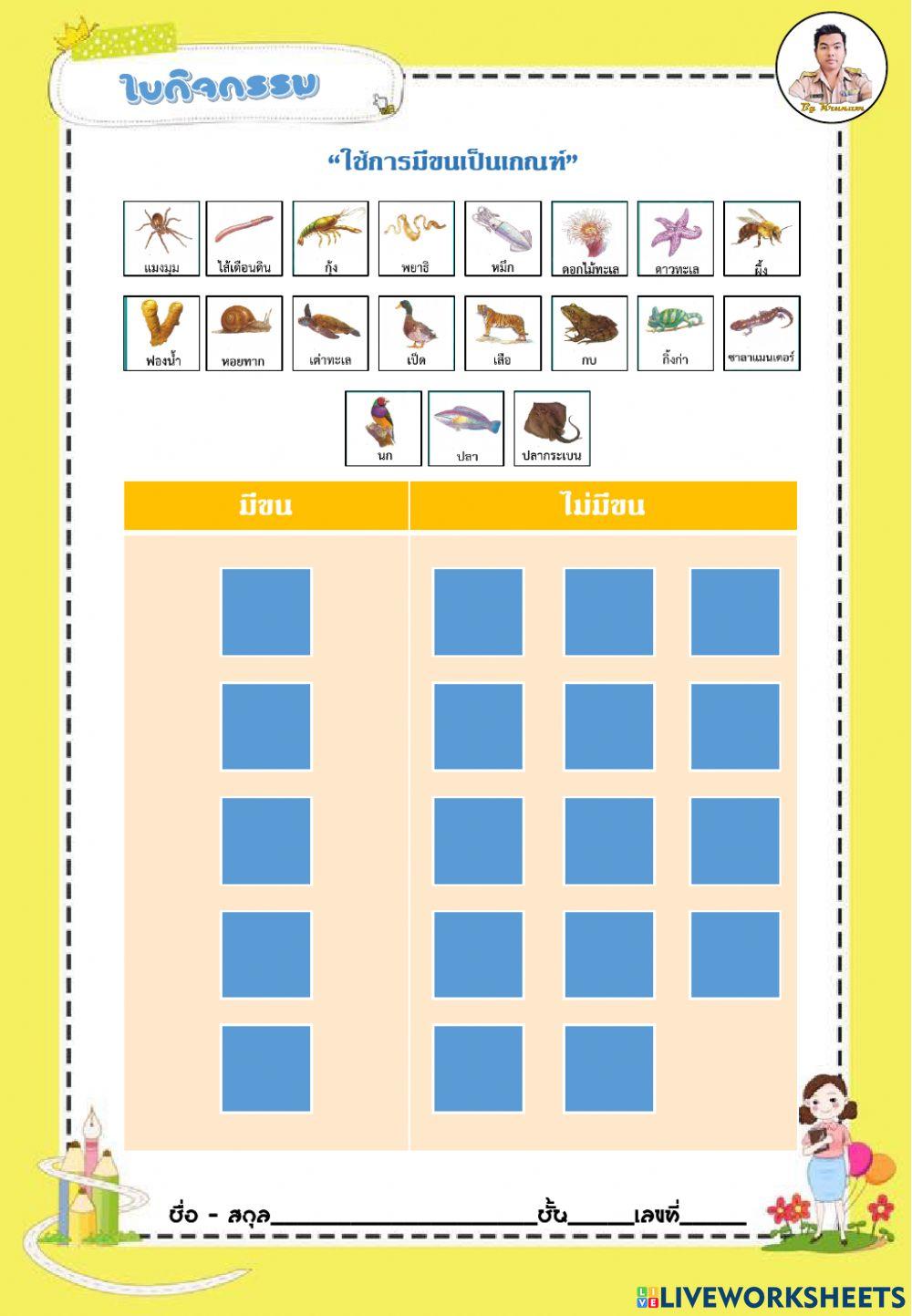 เกณฑ์การจำแนกสัตว์