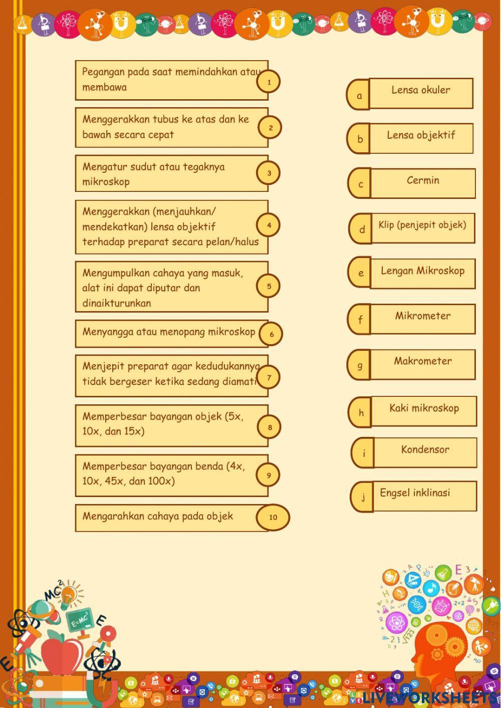 Tingkat Takson & Mikroskop