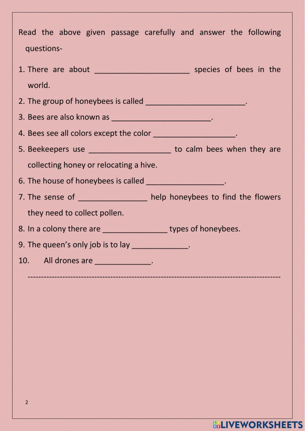 Anita and the honeybees