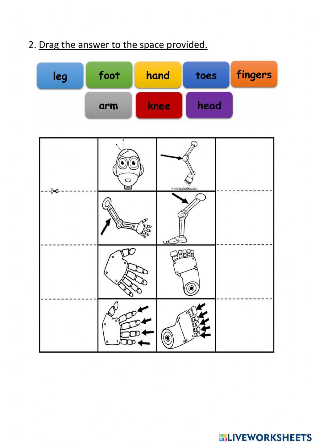 English Year 2 : The Robot