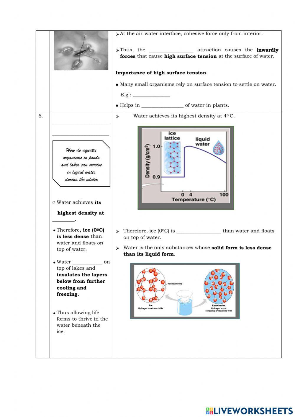1.0 molecules of life
