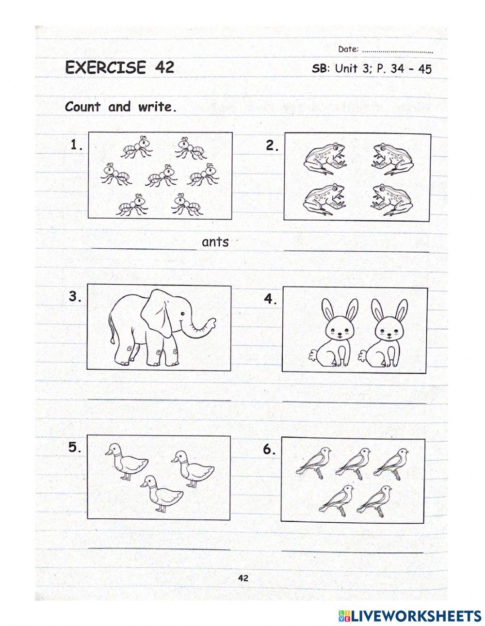 Year 1: Pet Show (Singular and Plural)