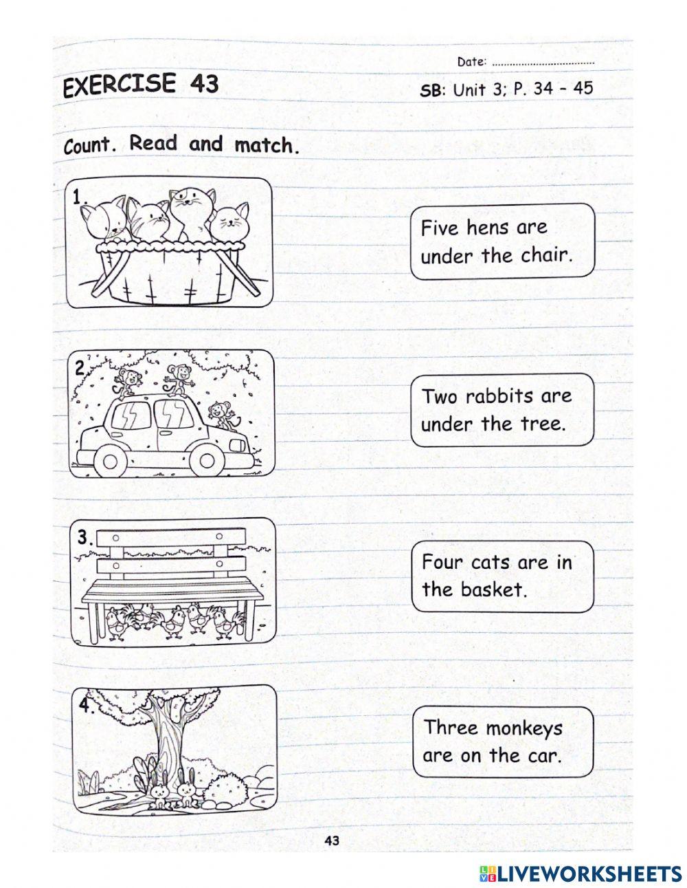 Year 1: Pet Show (Singular and Plural)