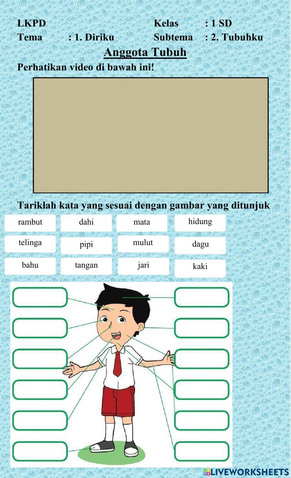 LKPD Kelas 1 Tema 1 Subtema 2