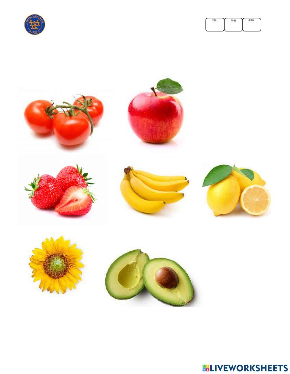 Guía 1 clasificacion