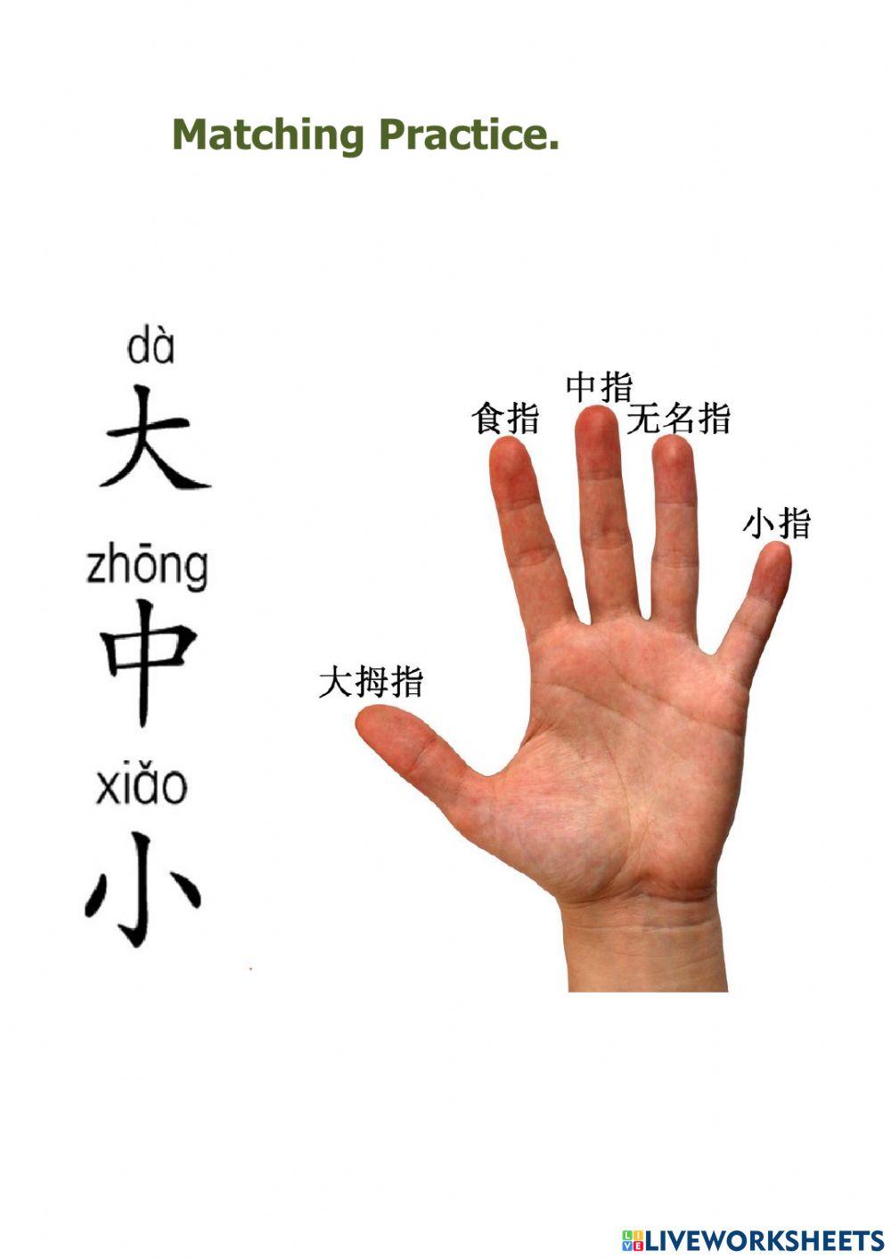 Chinese Online Exercise For 4 Live Worksheets Chinese Online Exercise For 4 Live Worksheets