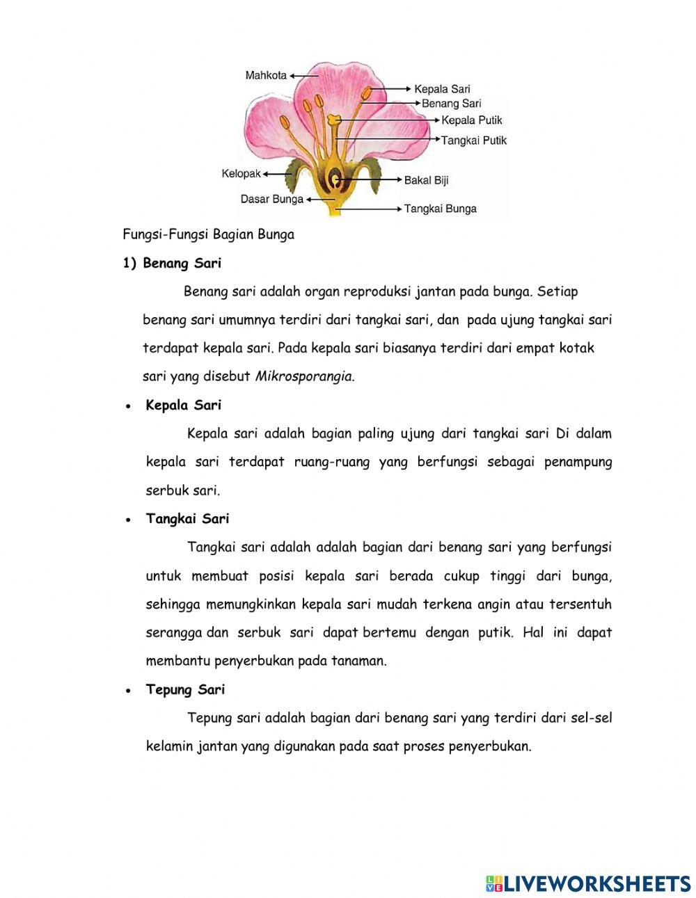 Materi Perkembangbiakkan Tumbuhan