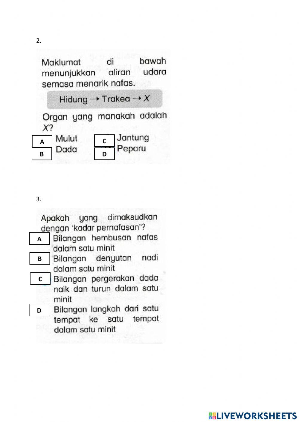 Latihan Sains Tahun 4 - Manusia
