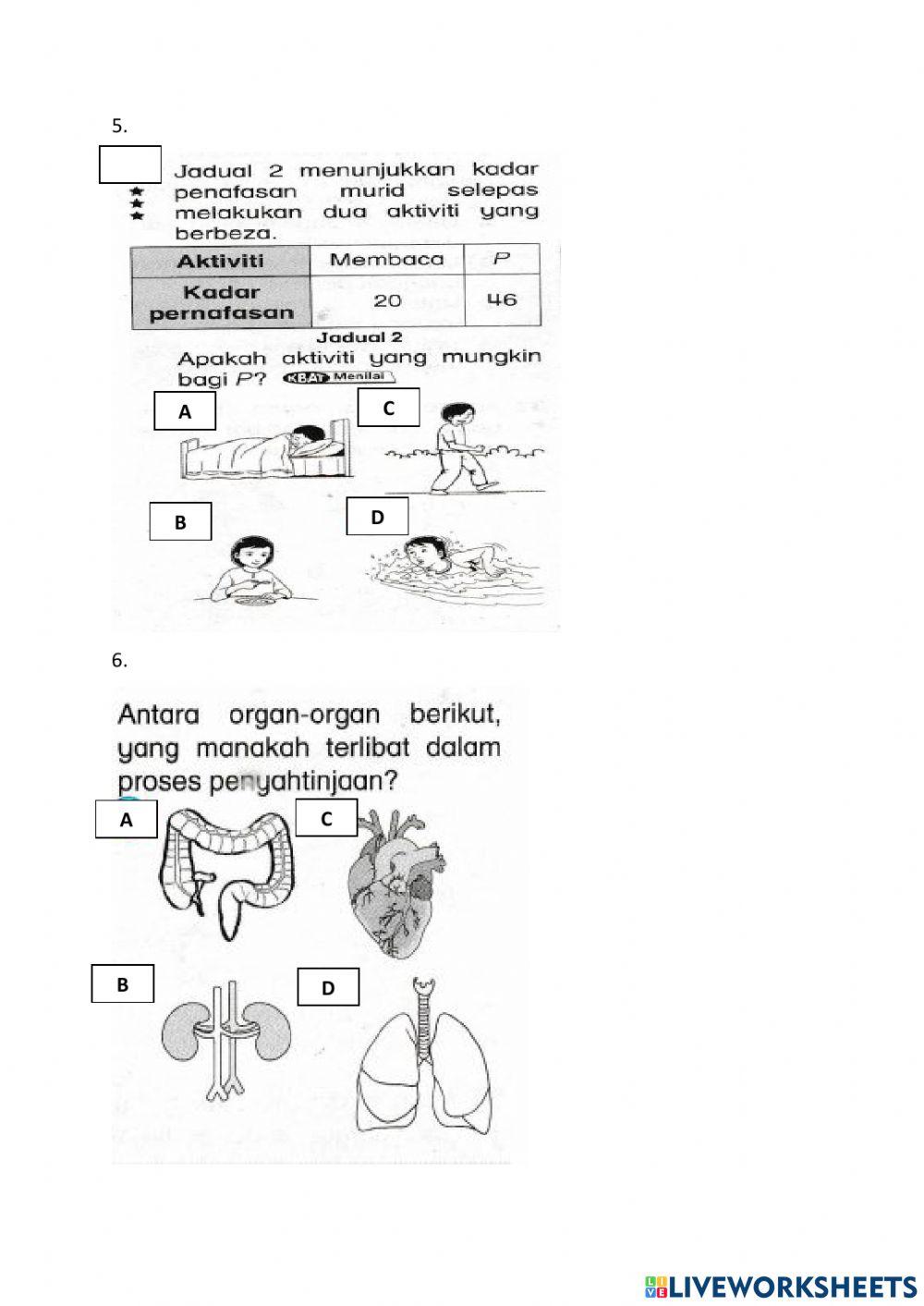 Latihan Sains Tahun 4 - Manusia