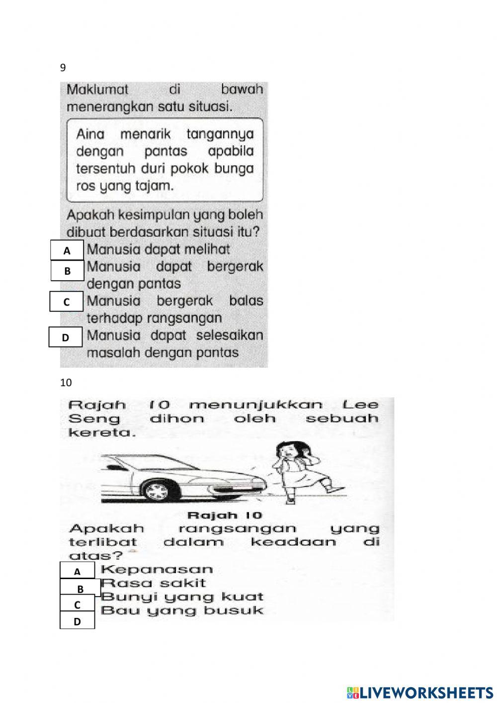 Latihan Sains Tahun 4 - Manusia
