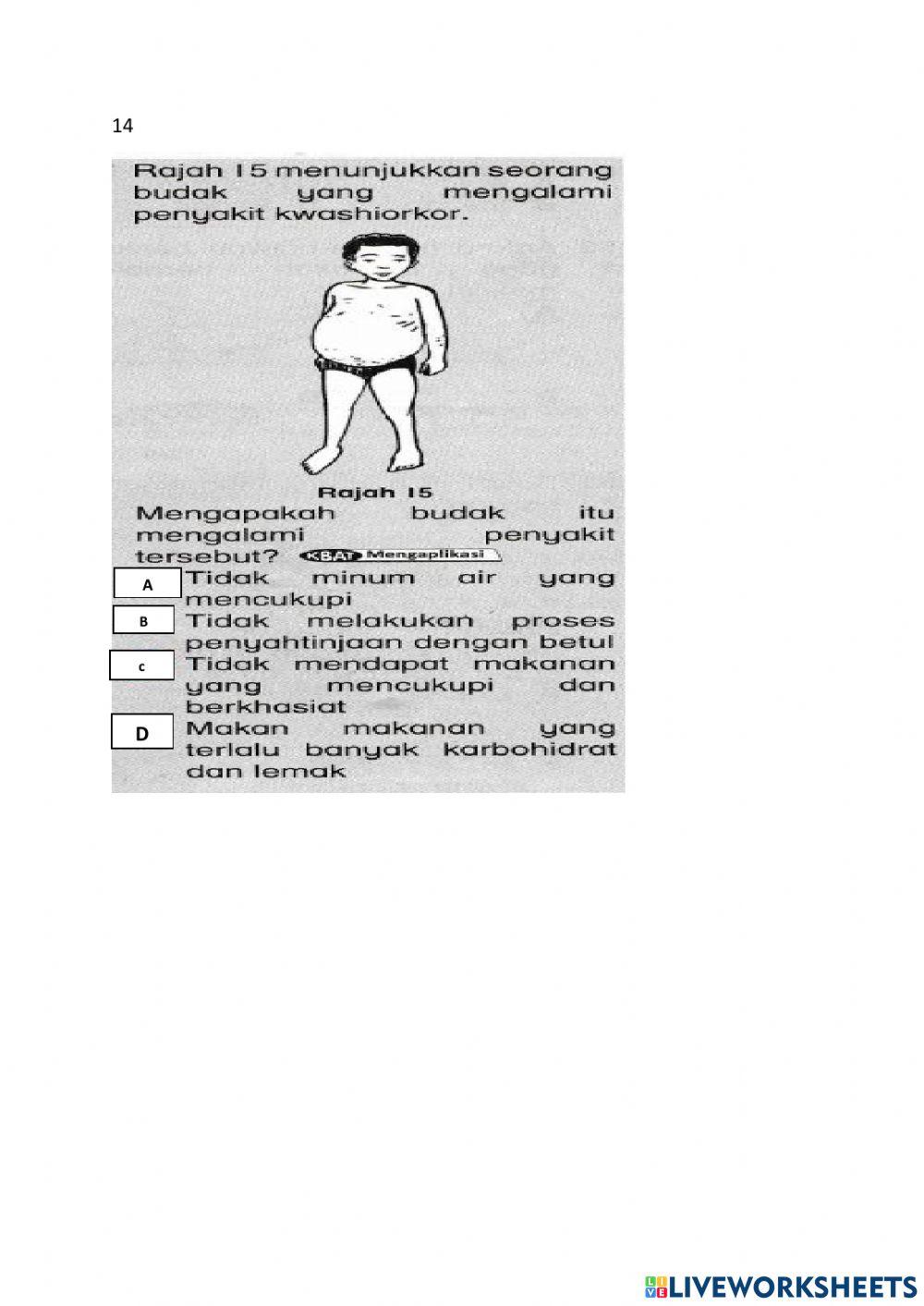 Latihan Sains Tahun 4 - Manusia